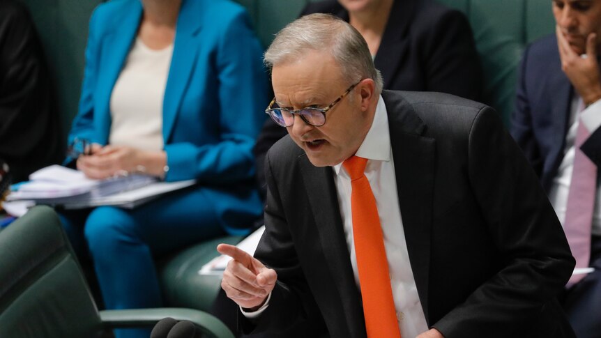 Anthony Albanese pointing in question time.