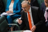 Anthony Albanese pointing in question time.