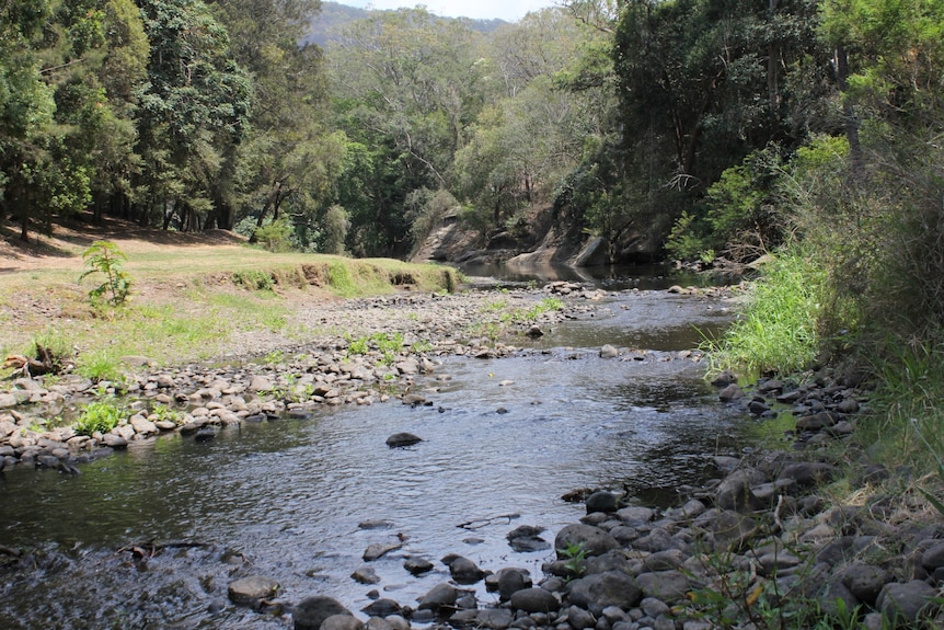 Canungra Creek