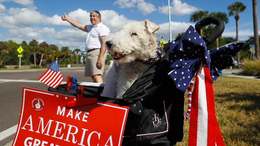 A Trump supporter with a dog in Florida