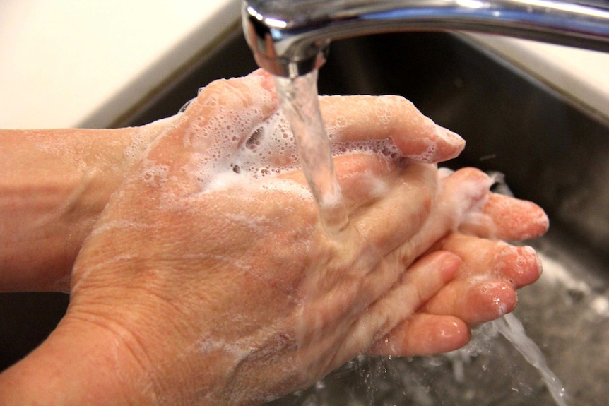 Hands wash under a tap