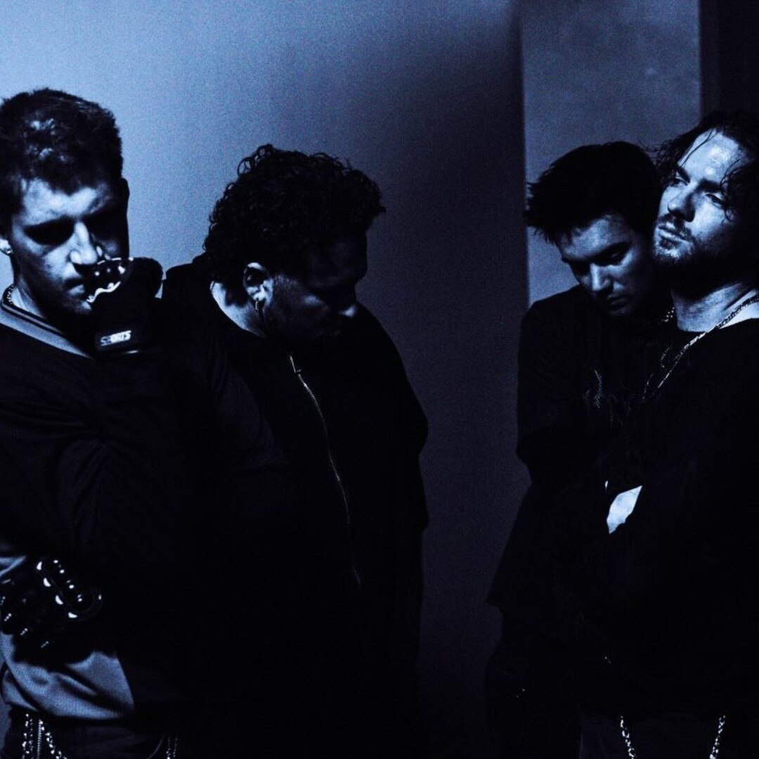 6 PACK - THORNHILL - image