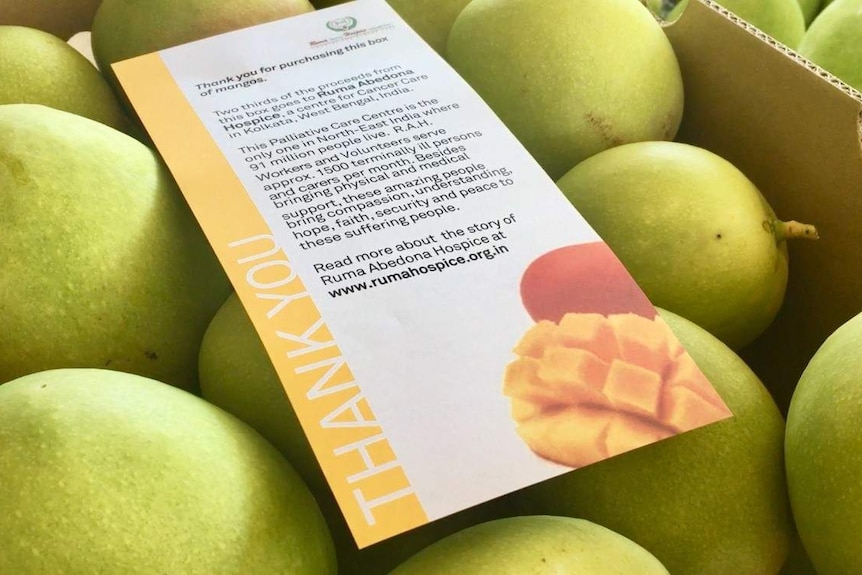 A close up of a box of mangoes with a flyer on top