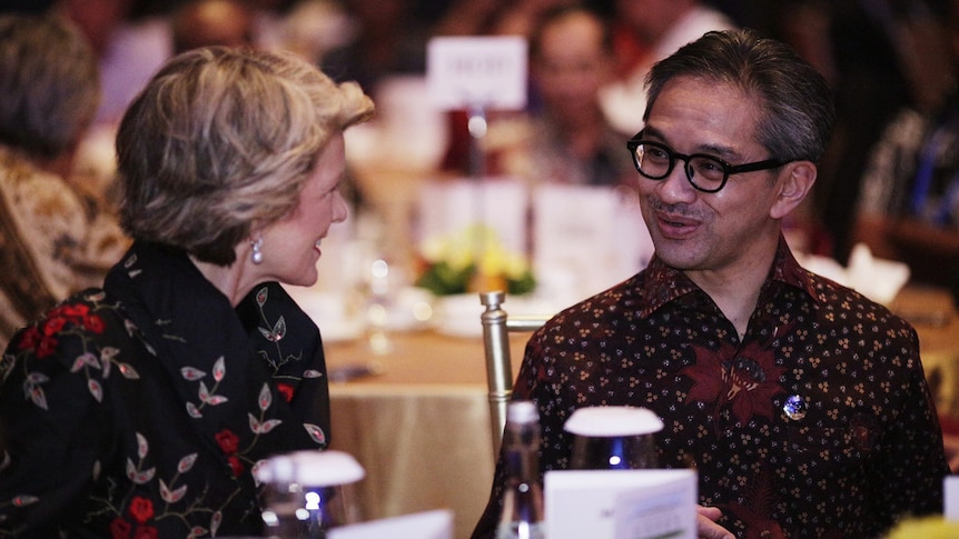 Julie Bishop has launched a full-blown charm offensive on Indonesia.