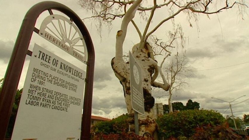 File photo of original Tree of Knowledge memorial in Barcaldine.