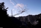 Arecibo telescope collapses