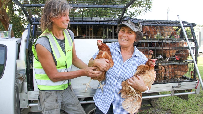 Two women smile as they handle two chickens. Behind them is a truck full of chickens in cages.