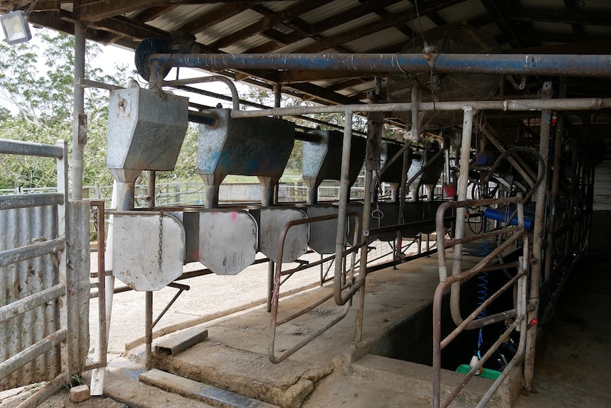 Old, aged dairy on farm.