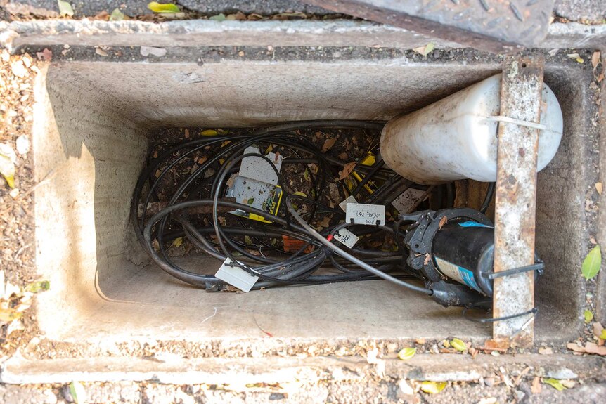 Street telco pit with rat bait inside