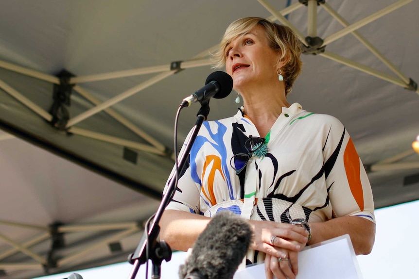 Ms Steggall is standing on a stage behind microphones, under a marquee. She's wearing a colourful dress.