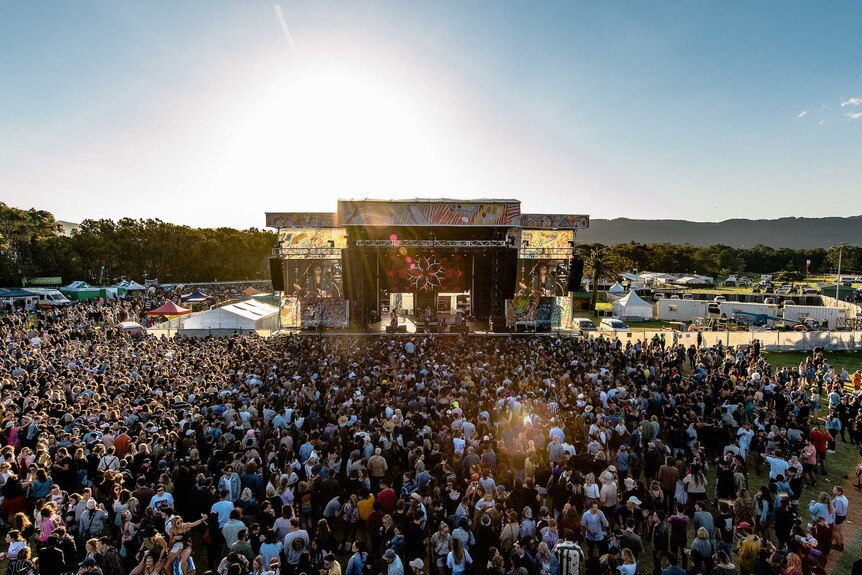 The crowd in front of the stage at the festival