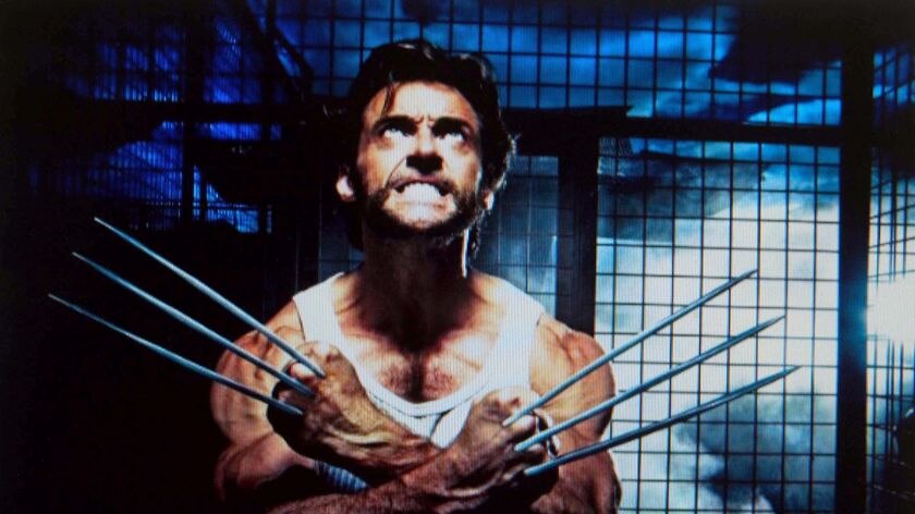 Hugh Jackman as Wolverine in a scene from the movie 'X-Men Origins: Wolverine' (www.imdb.com)