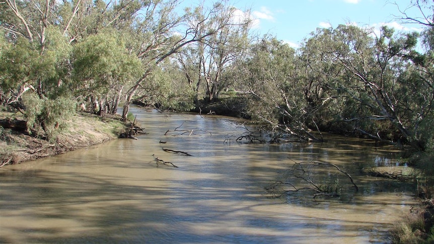 Lachlan River at Booligal