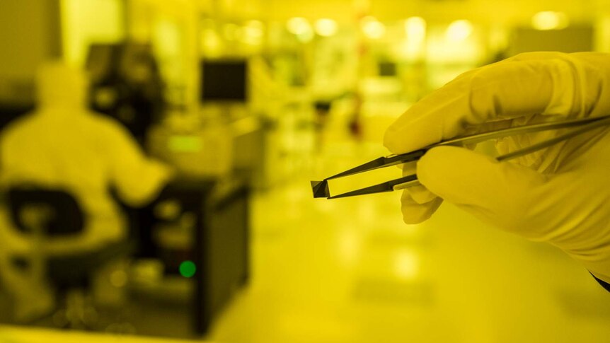 A quantum chip created at the UNSW Australian National Fabrication Facility held by tweezers.