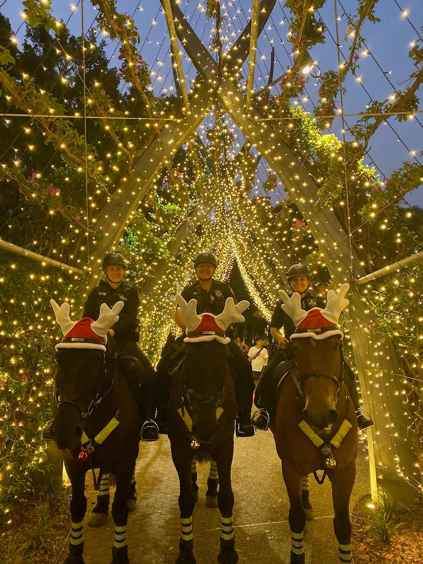 Police horses wear reindeer hats and stand under fairy lights.