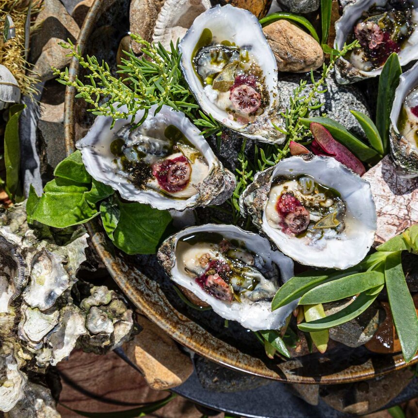 A plate crowded with open oysters that have been dressed in various sauces, oils and fruits; nestled in sprigs of saltbush