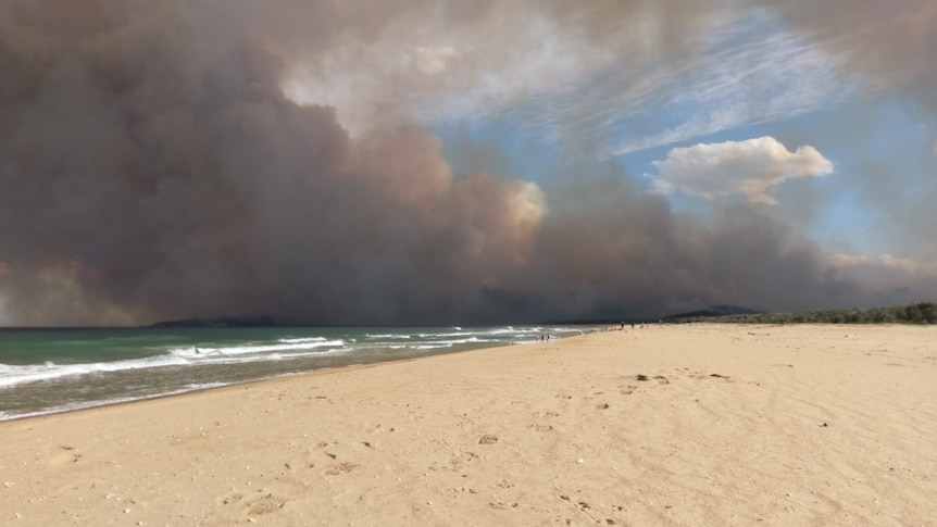 Tathra Bushfire scene from beach