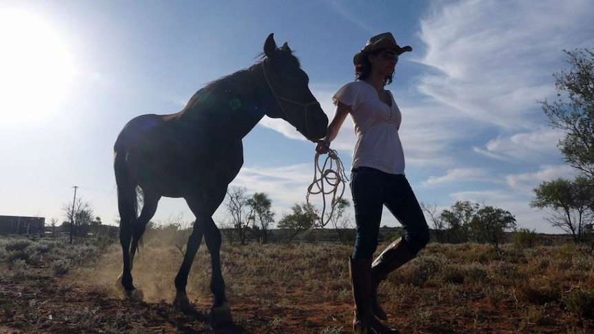 Life on the farm in outback New South Wales