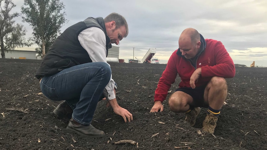 Two people assessing the soil at a farm