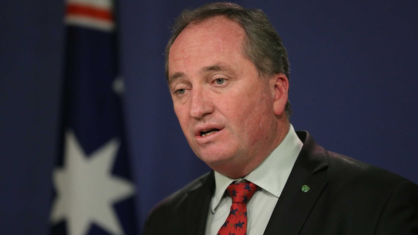 Dpeuty Prime Minister Barnaby Joyce is speaking at a press conference