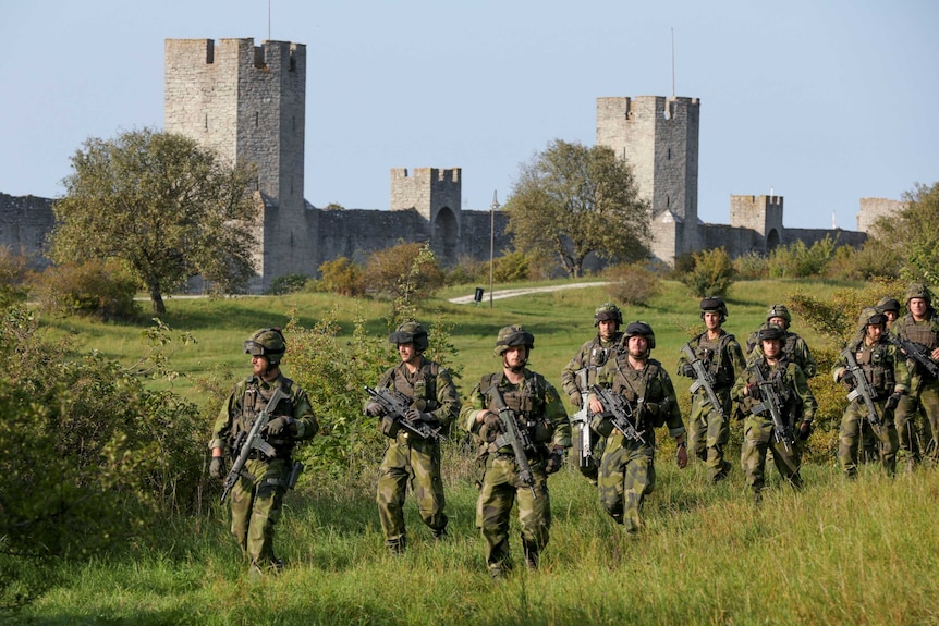 A squad of Swedish troops walk through a field on the island of Gotland.