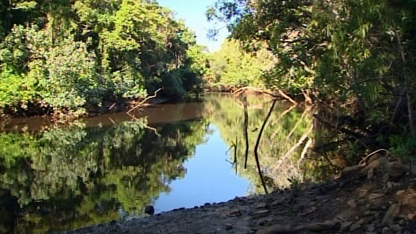 Croc trap ... the EPA is setting up crocodile traps along the Endeavour River.