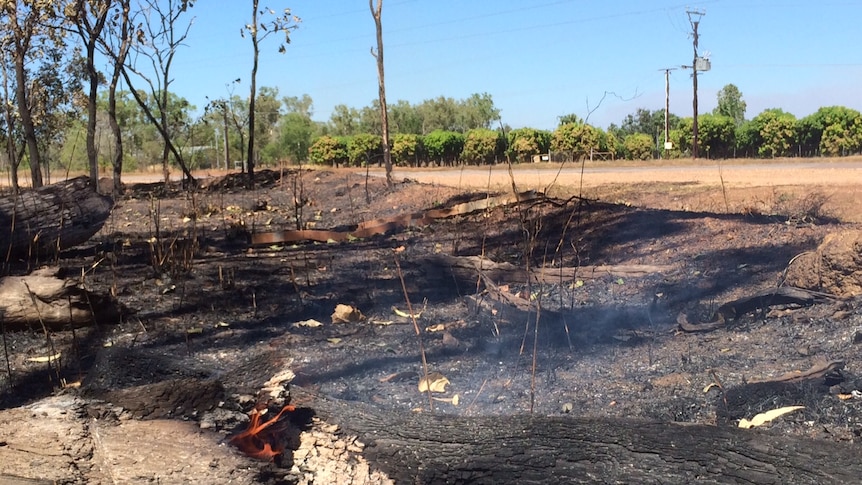 Burnt roadside vegetation and burning log.