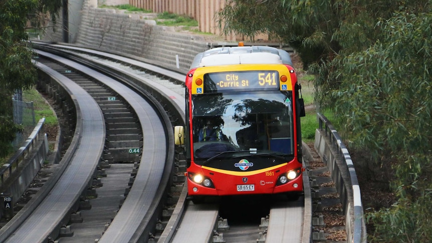 A red and yellow train, seen form the front, rounds a bend.