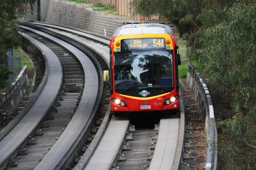 A red and yellow train, seen form the front, rounds a bend.