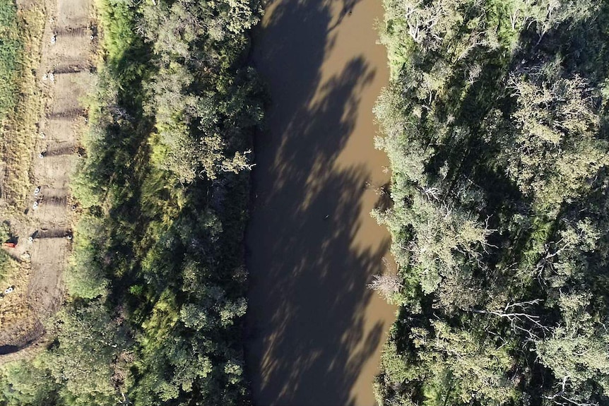 A river seen from above, with trees on both sides