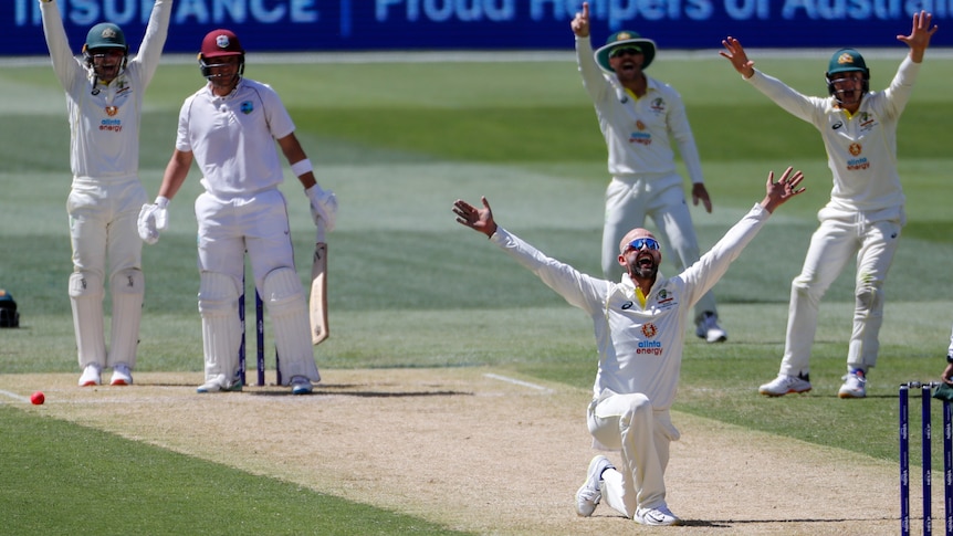 Nathan Lyon kneels down with his arms outstretched