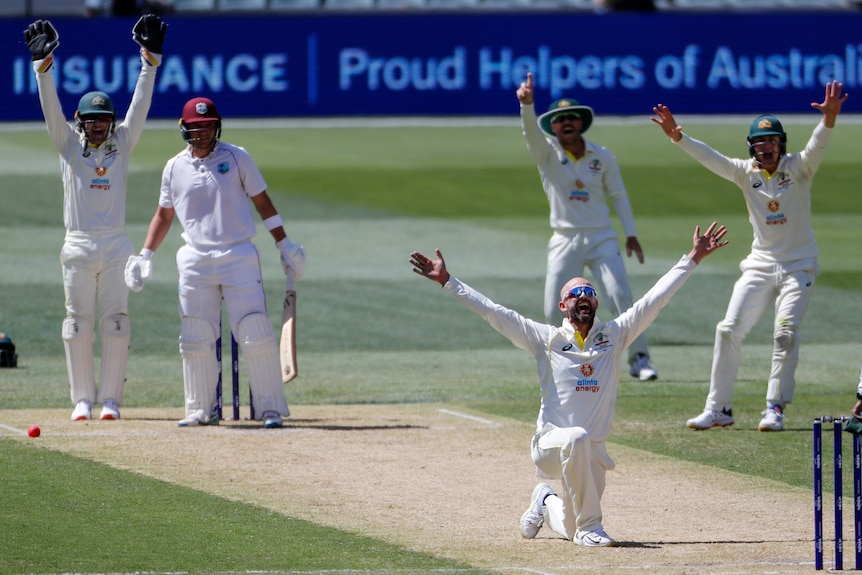 Nathan Lyon kneels down with his arms outstretched