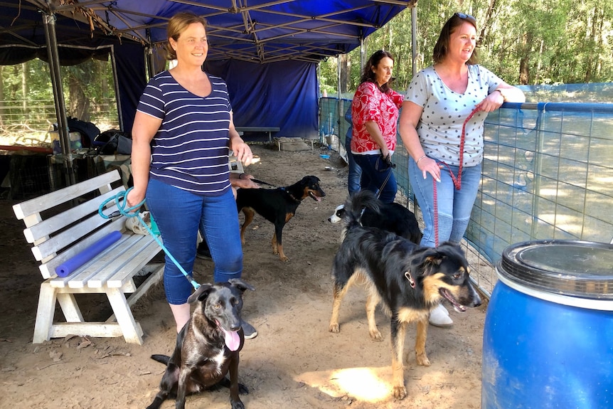 Women with dogs waiting their turn.