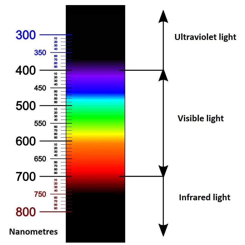 The light spectrum with nanometres marked.
