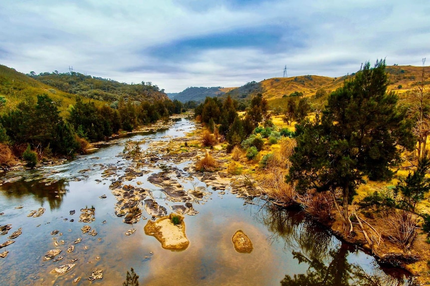 A river in bushland.