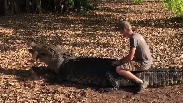 Niels Jensen filmed riding a live crocodile.