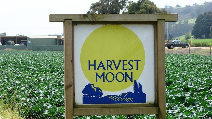 Harvest Moon at Forth in Tasmania's north west was part of the Fruit and Vegetable Taskforce