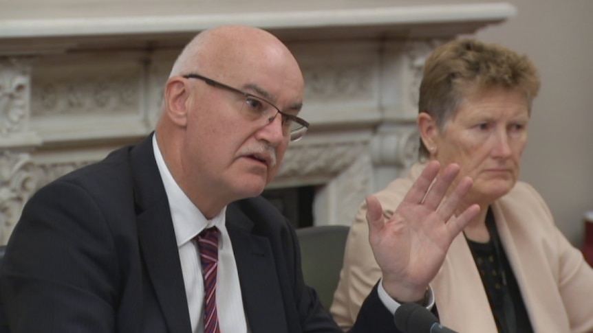 Professor John Skerritt from the TGA gives evidence at the mesh inquiry.