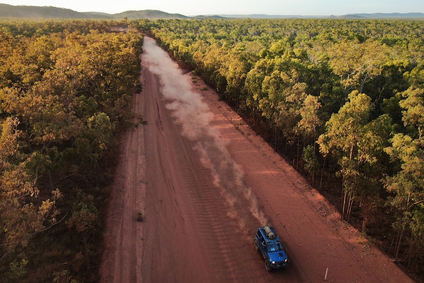 Bushland along a dusty road