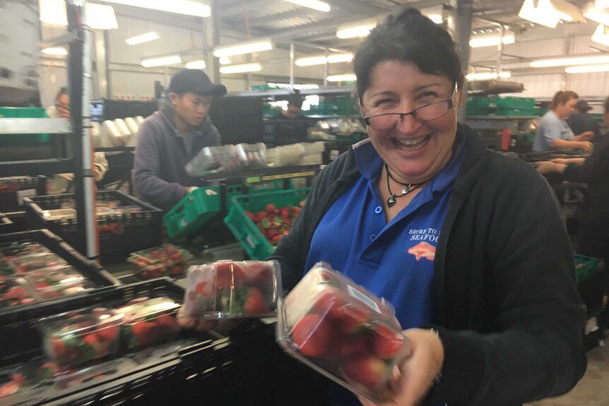 Michelle Stewart laughing at the camera as she quality checks two punnets of strawberries.