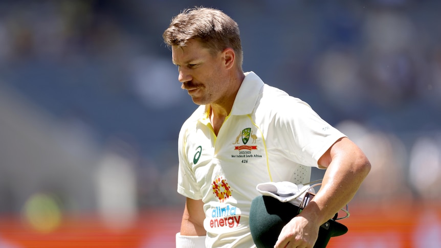David Warner withdraws appeal to end lifetime captaincy ban