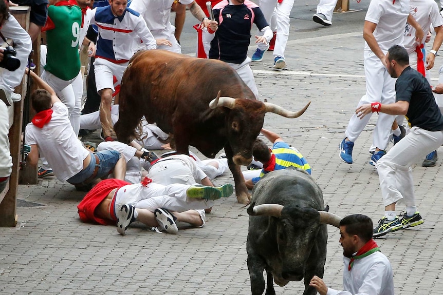 Runners sprint and fall ahead of bulls during the last running of the bulls at the San Fermin festival.