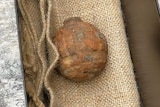 A rusted grenade sitting in a black box over burlap.