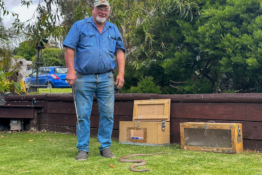 David Miles stands on the grass next to a brown snake. 