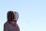 Bee keepers worried about locust spraying - file photo