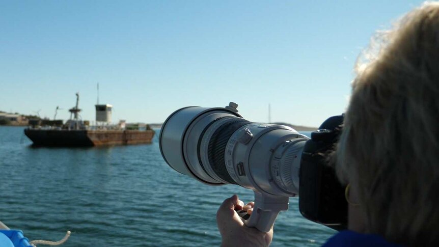 On left birds in background on barge, camera lens and photographer's hand on the right