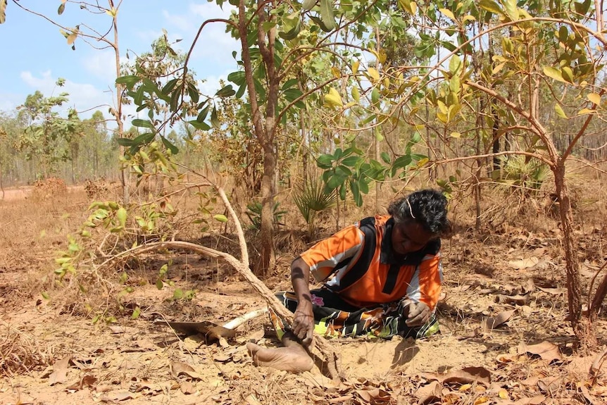 Deborah Wurrkdij sits in the soil near a small tree