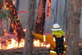 Firefighter works to keep Winmalee blaze under control