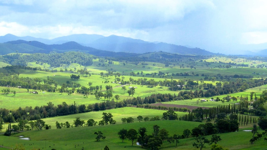 The green Gloucester Valley landscape