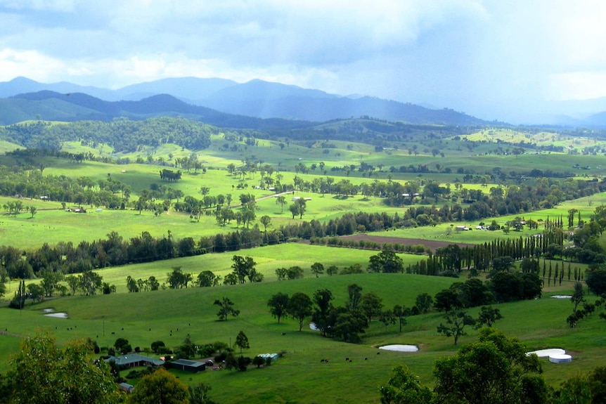 The green Gloucester Valley landscape